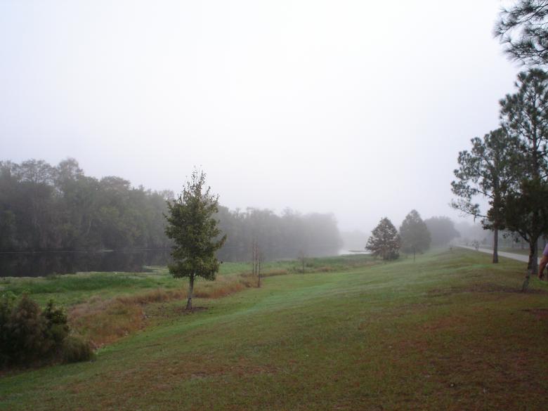 Free stock image of Morning Fog created by Thom Parkin
