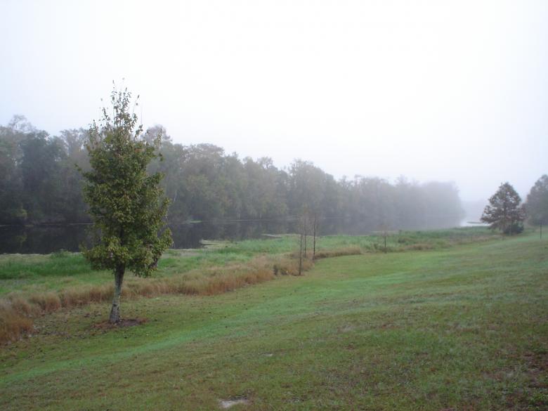 Free stock image of Morning Fog created by Thom Parkin