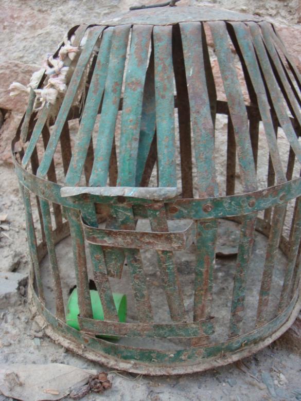 Free stock image of Rusted bird cage created by Ali Haider