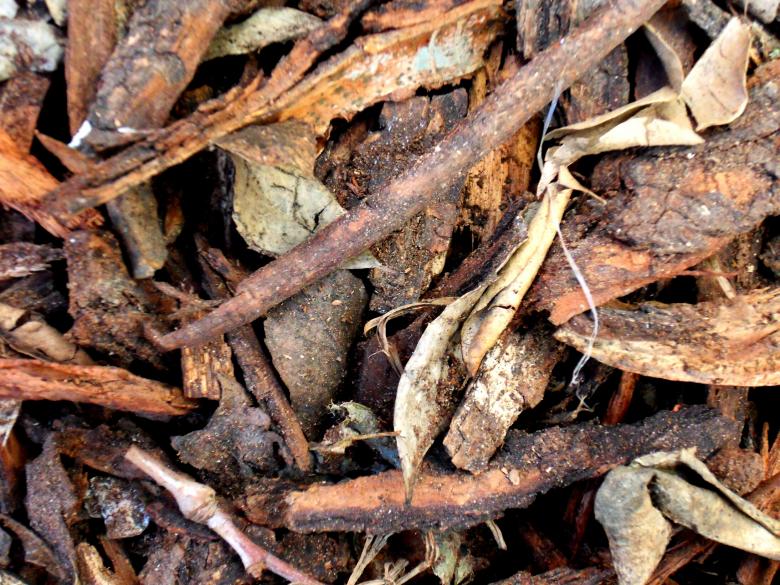 Free stock image of Driftwood texture created by homero chapa