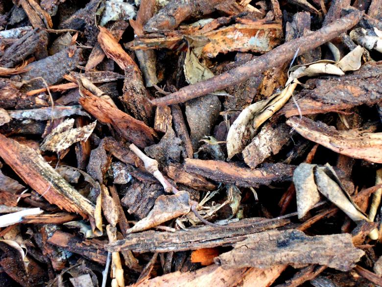 Free stock image of Driftwood texture created by homero chapa