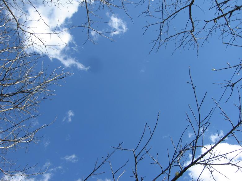 Free stock image of Vietnam Sky created by ltgbau