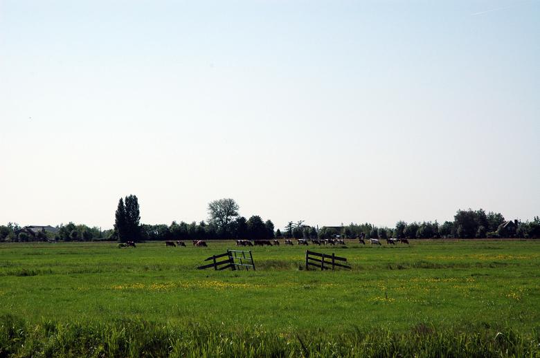 Free stock image of Dutch Farmland created by Max van Holten