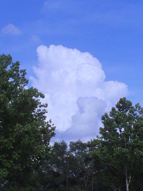 Free stock image of Cumulus Cloud over Orlando created by Thom Parkin