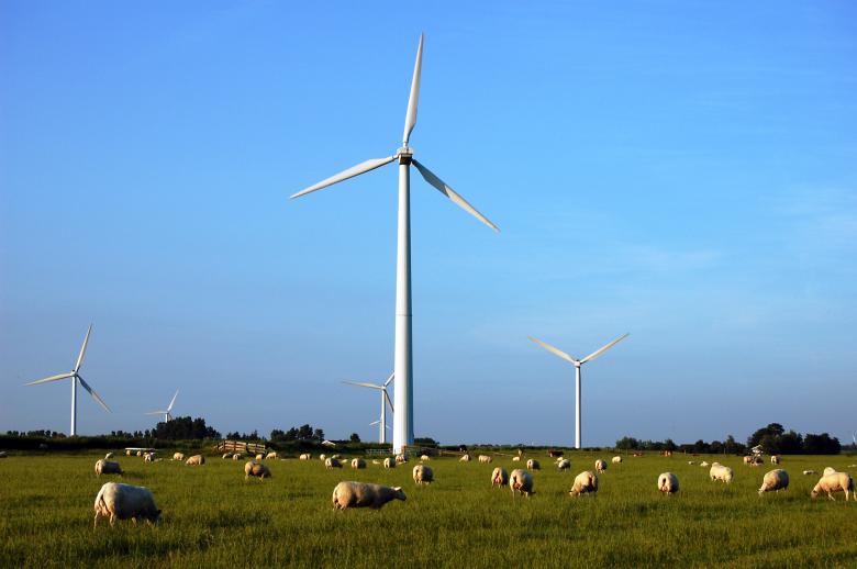 Free stock image of Sheeps and windmills created by Max van Holten