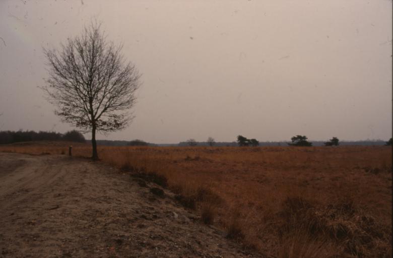 Free stock image of Landscape created by MUNCH PIERRE