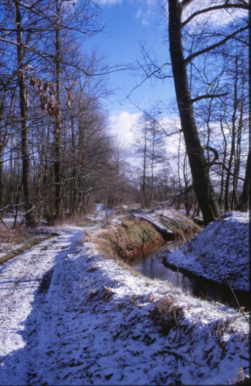 Free stock image of Winter Landscape created by MUNCH PIERRE