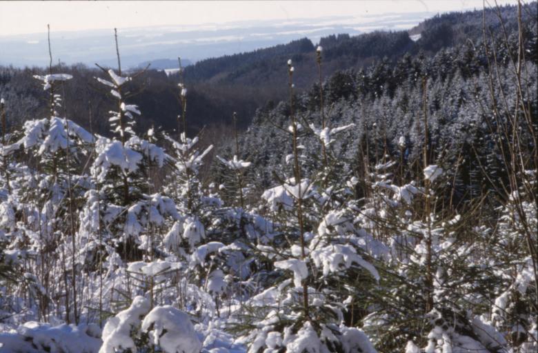 Free stock image of Winter Landscape created by MUNCH PIERRE