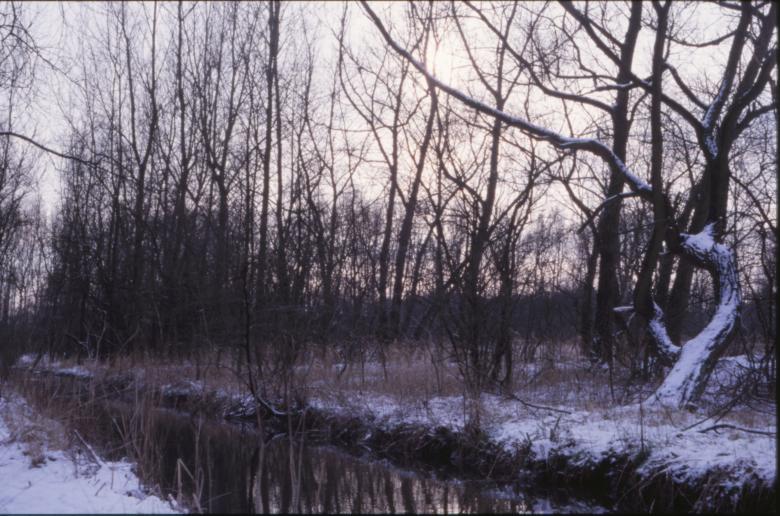 Free stock image of Winter Landscape created by MUNCH PIERRE