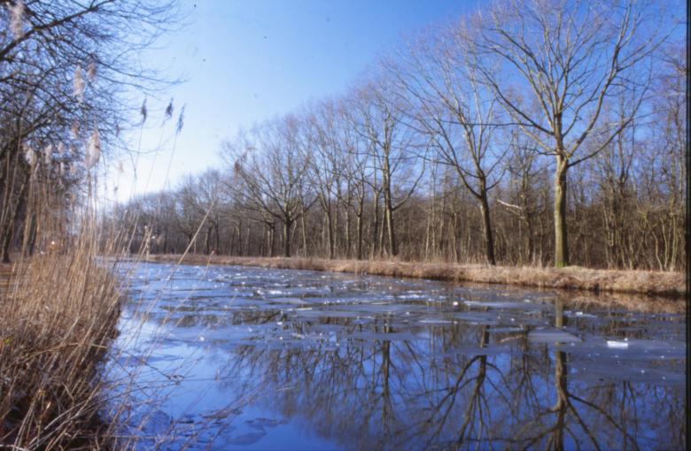 Free stock image of Landscape created by MUNCH PIERRE