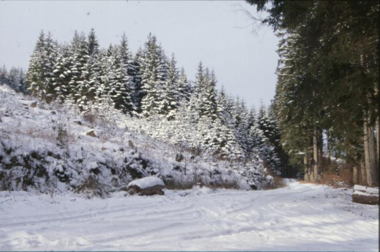 Free stock image of Winter Landscape created by MUNCH PIERRE