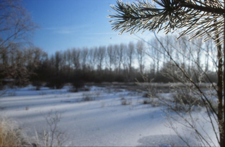 Free stock image of Winter Landscape created by MUNCH PIERRE