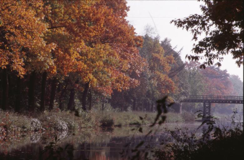 Free stock image of Forest landscape created by MUNCH PIERRE