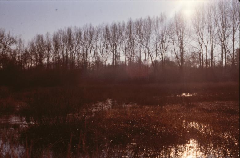 Free stock image of Landscape created by MUNCH PIERRE