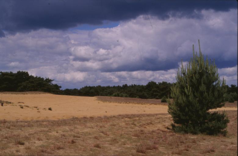 Free stock image of Landscape created by MUNCH PIERRE