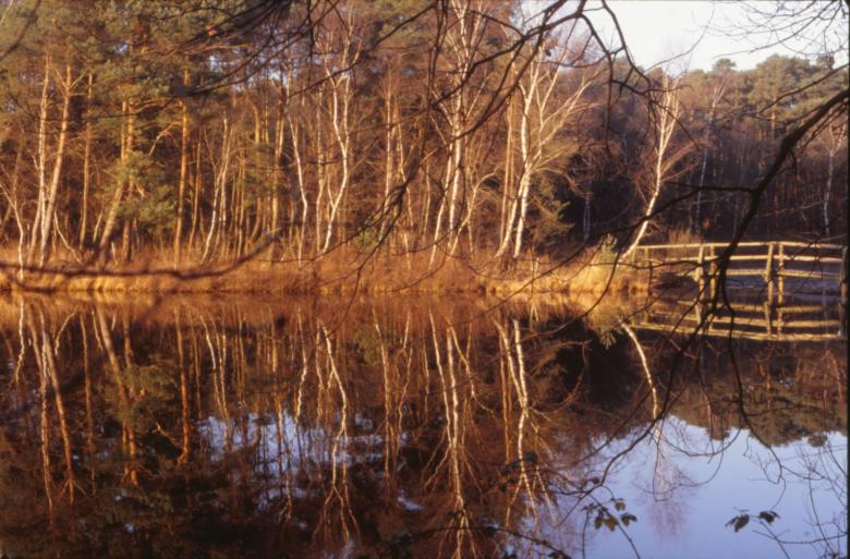 Free stock image of Landscape created by MUNCH PIERRE