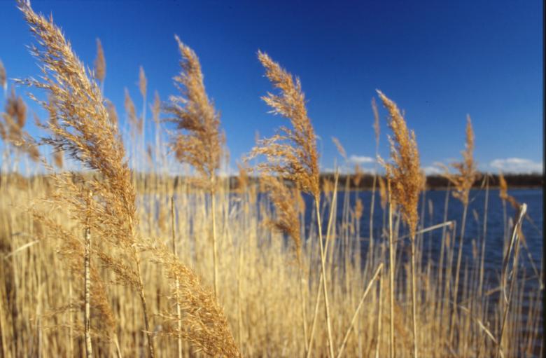Free stock image of Landscape created by MUNCH PIERRE