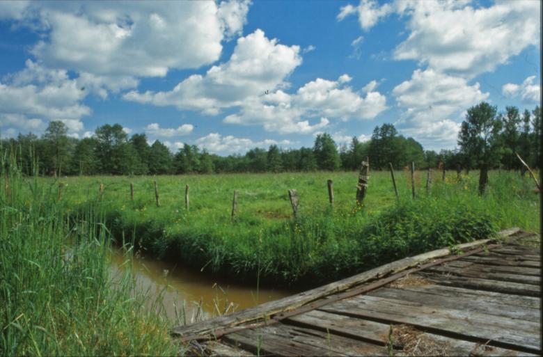 Free stock image of Green Landscape created by MUNCH PIERRE
