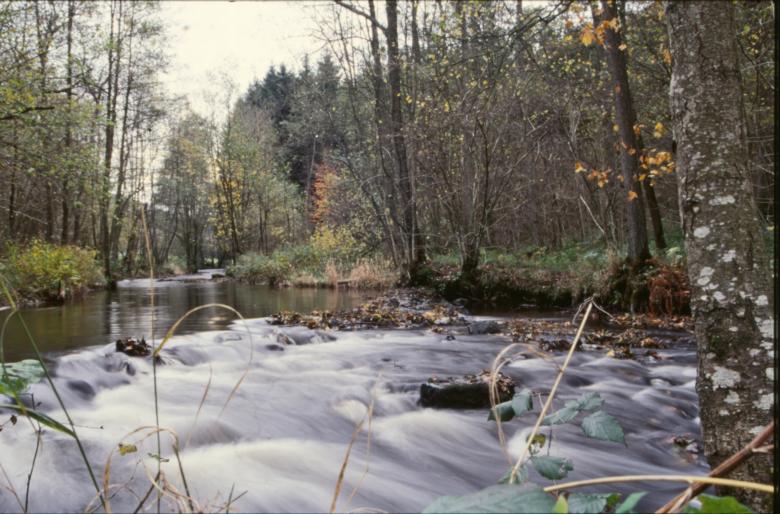 Free stock image of River Landscape created by MUNCH PIERRE