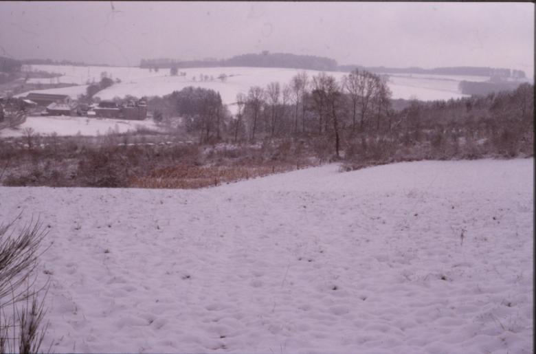 Free stock image of Winter Landscape created by MUNCH PIERRE