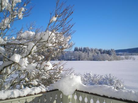 Winter - Free Stock Photo