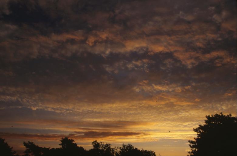 Free stock image of Sunset created by MUNCH PIERRE