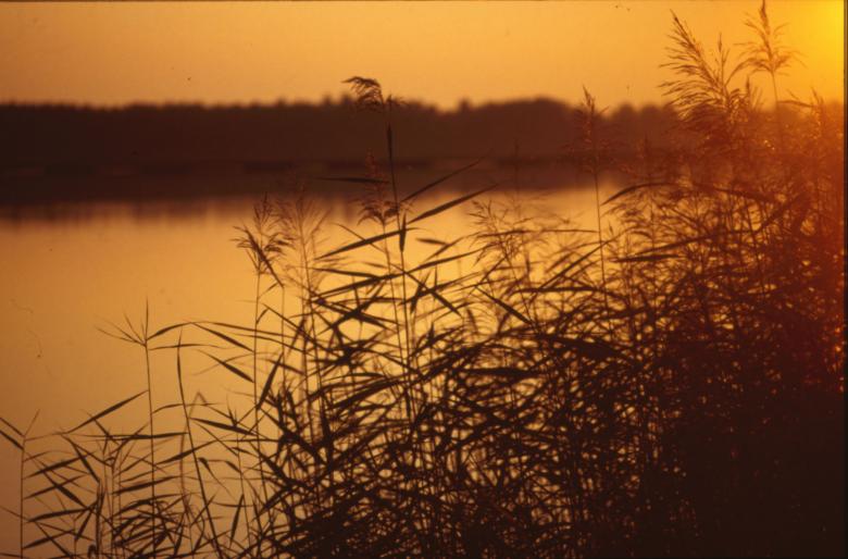 Free stock image of Sunset created by MUNCH PIERRE