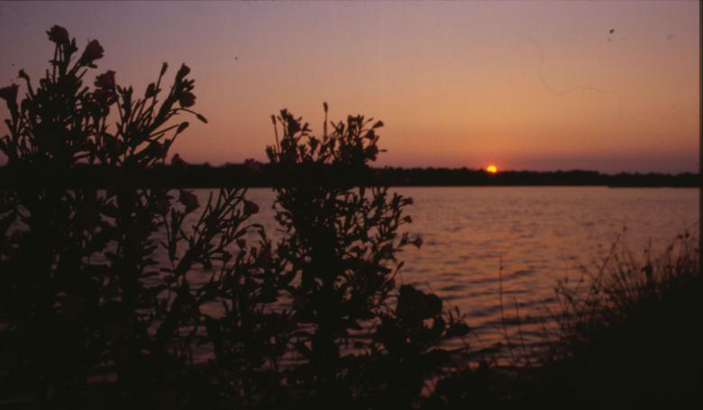 Free stock image of Sunset created by MUNCH PIERRE