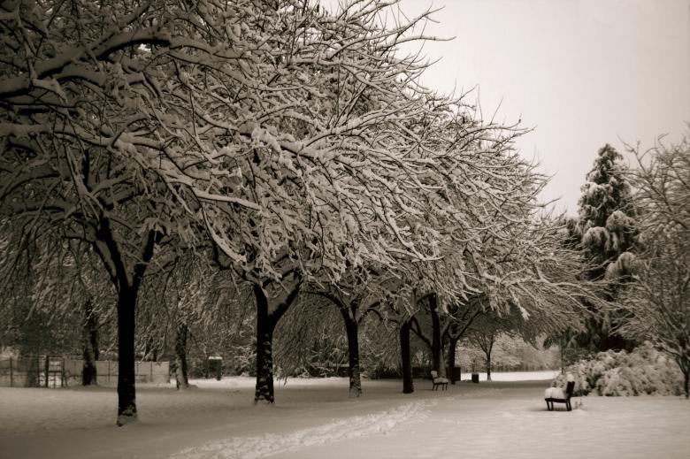 Free stock image of Snow created by Marco Galimberti