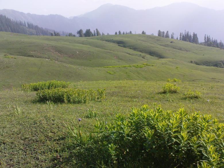 Free stock image of My Trip created by Asif
