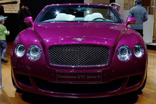 Free Stock Photo of International Geneva Cars salon 2010