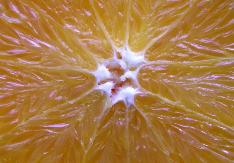 Free stock image of Orange created by klarissa meyers