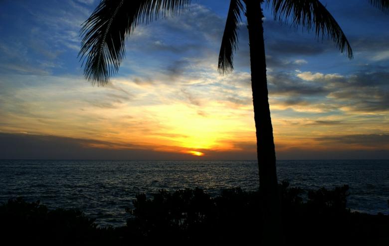 Free stock image of Coconut Sunset created by Barry Haynes