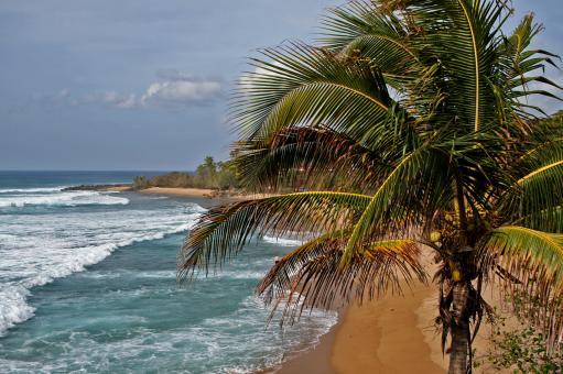 Free Stock Photo of Ocean View