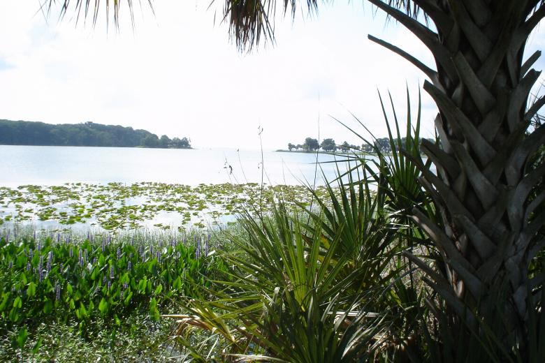 Free stock image of Tropical Paradise created by Thom Parkin