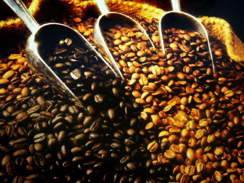 Free stock image of Coffee Beans created by Ali Haider