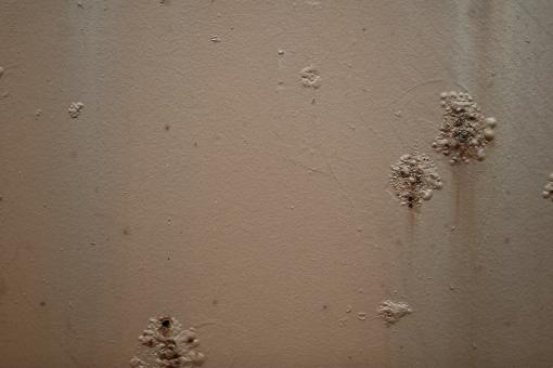 Free Stock Photo of Rusted surface