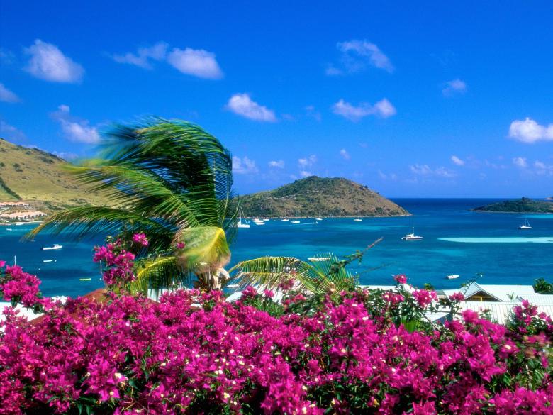 Free stock image of Tropical Landscape created by Girish Sharma