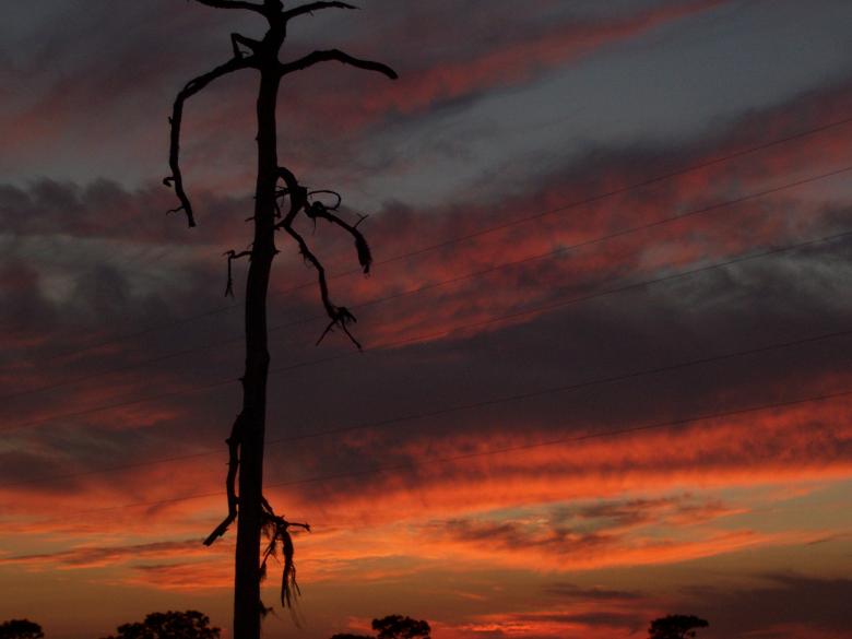 Free stock image of Mystery ring and Florida sunset created by joy sheppard