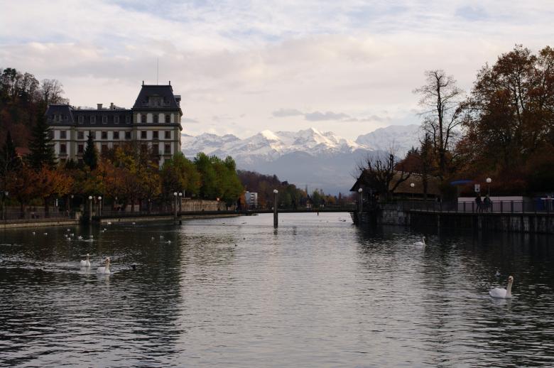 Free stock image of Town of Thun created by frhuynh