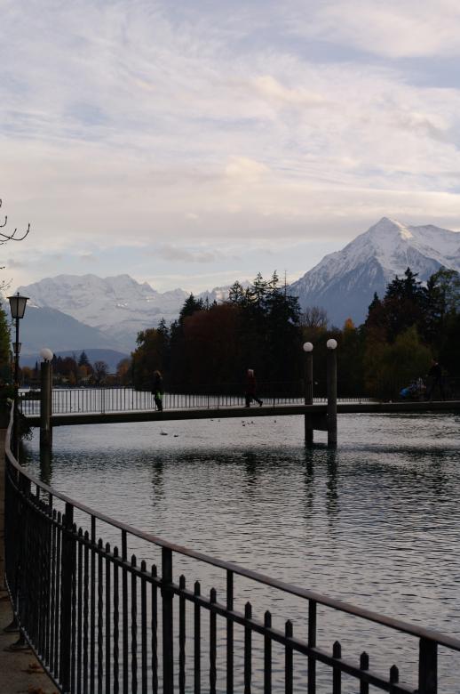 Free stock image of Town of Thun created by frhuynh