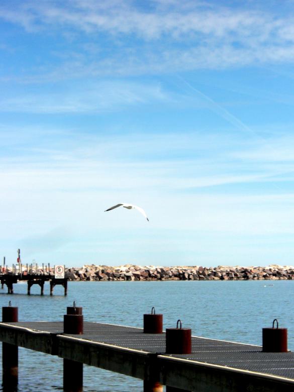 Free stock image of milwaukee shoreline created by Brian