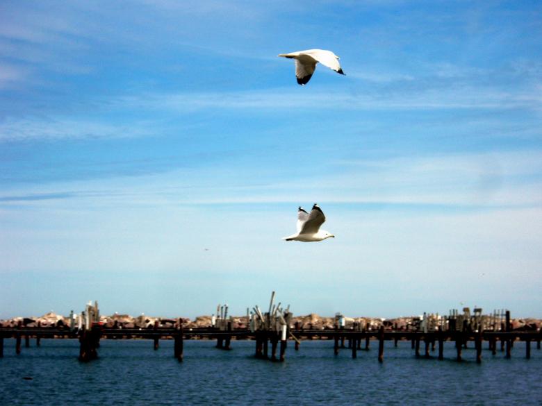 Free stock image of milwaukee shoreline created by Brian