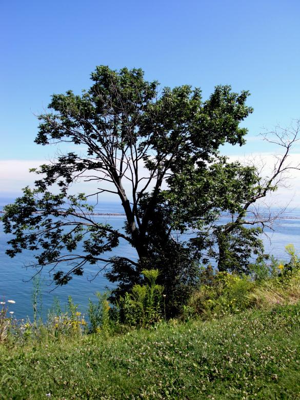 Free stock image of Milwaukee Bluffs created by Brian