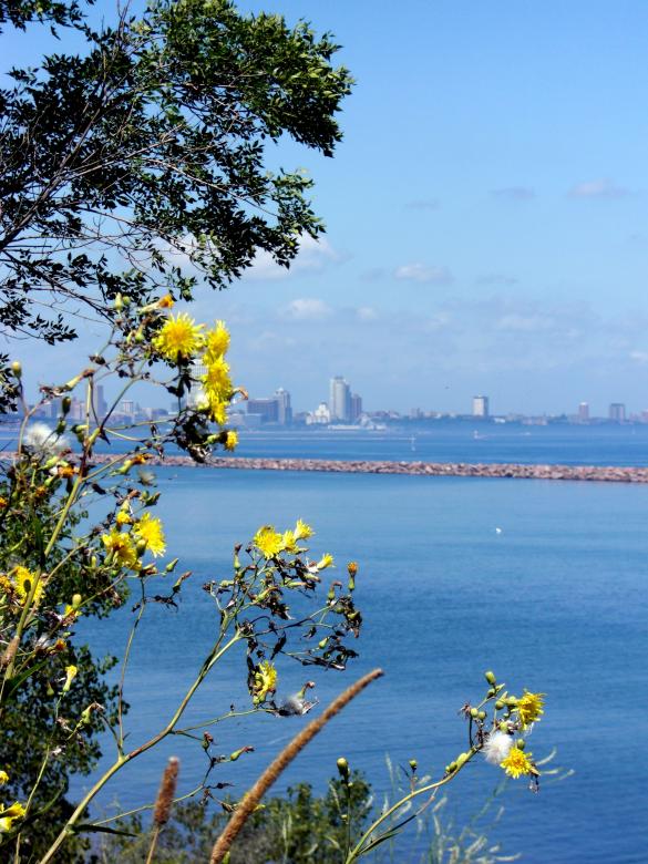 Free stock image of Milwaukee Bluffs created by Brian