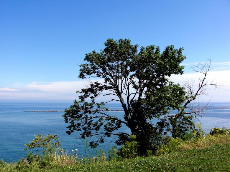 Free stock image of Milwaukee Bluffs created by Brian