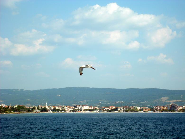 Free stock image of Photos from Turkey created by Mehmet Demiray