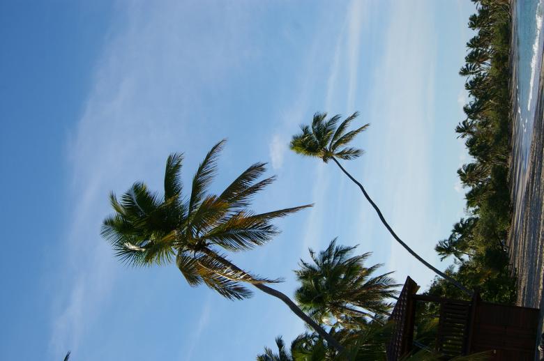 Free stock image of Martinique island created by frhuynh