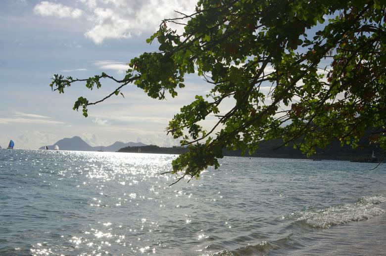 Free stock image of Martinique island created by frhuynh
