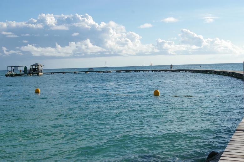 Free stock image of Bridge in martinique created by frhuynh